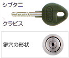 シブタニ,クラビス/鍵穴の形状