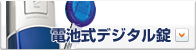 �d�r���f�W�^����